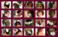 /album/bodas/bodaryt-9-jpg/